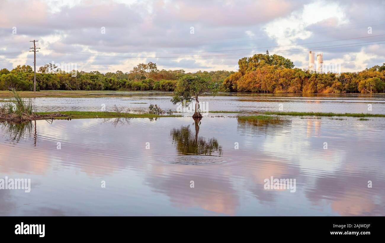 Ein Wetland Ecosystem gefärbt durch das Licht der untergehenden Sonne Stockfoto
