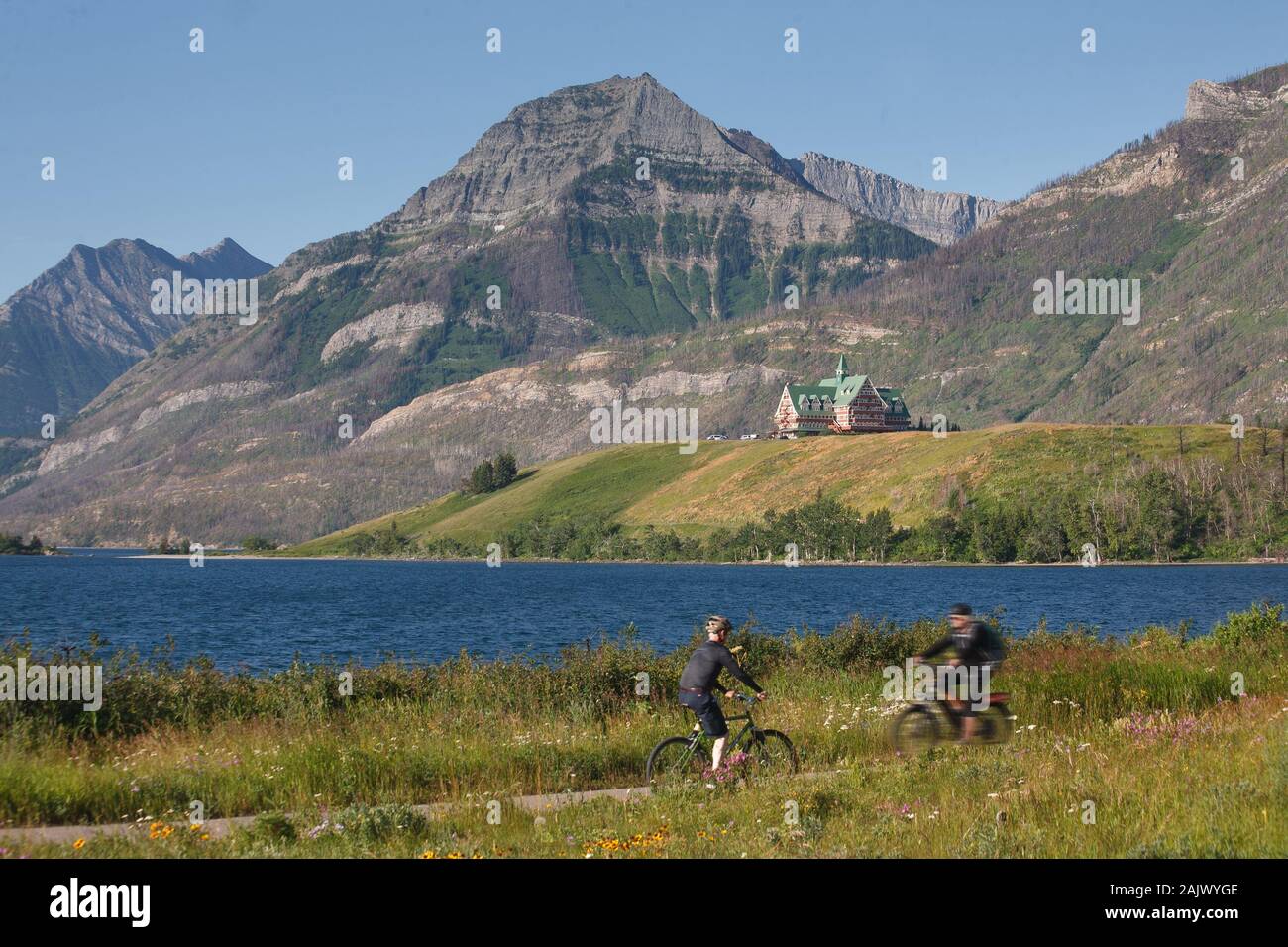 Radfahrer in Waterton Lakes National Park in Alberta, Kanada Stockfoto