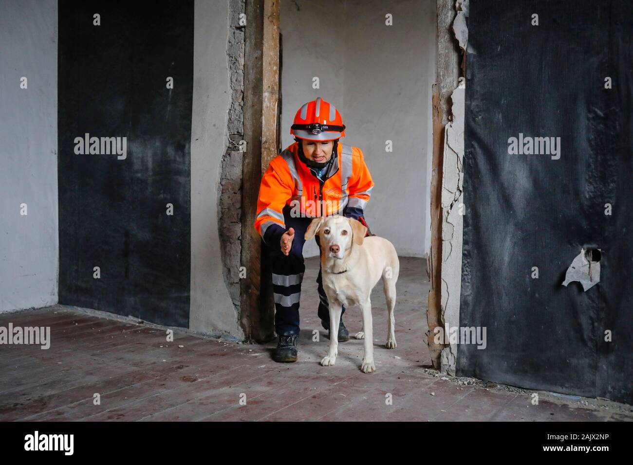 Herne, Nordrhein-Westfalen, Deutschland - Rescue Dog Training, in leeren Häusern der Tracker hunde Praxis die Suche nach verletzten, begruben die Leute z. b. nach hinten Stockfoto