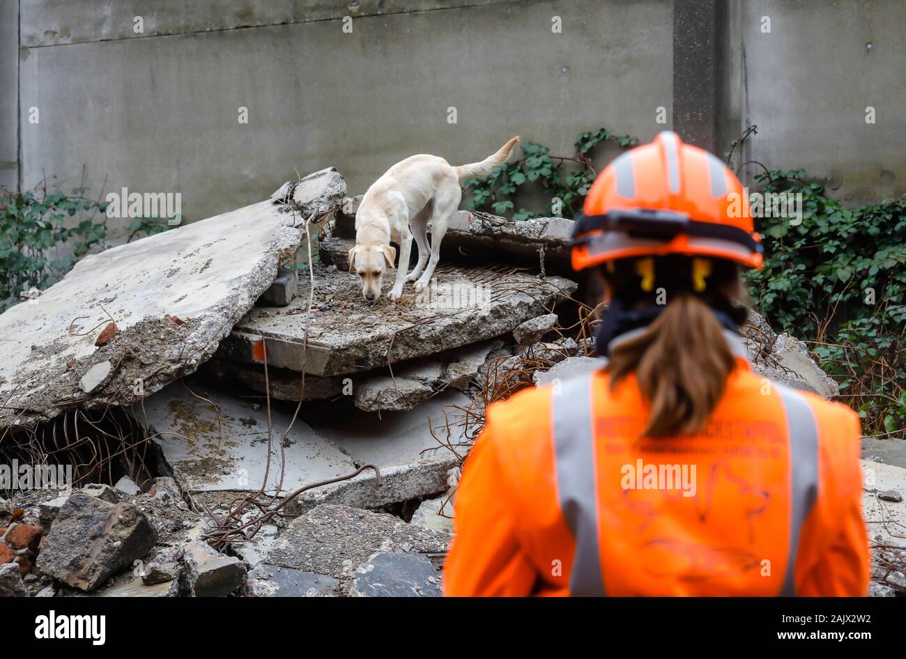 Herne, Nordrhein-Westfalen, Deutschland - Rescue Dog Training, in Trümmern von eingestürzten Gebäuden, die tracking Hunde Praxis die Suche nach verletzten, buri Stockfoto