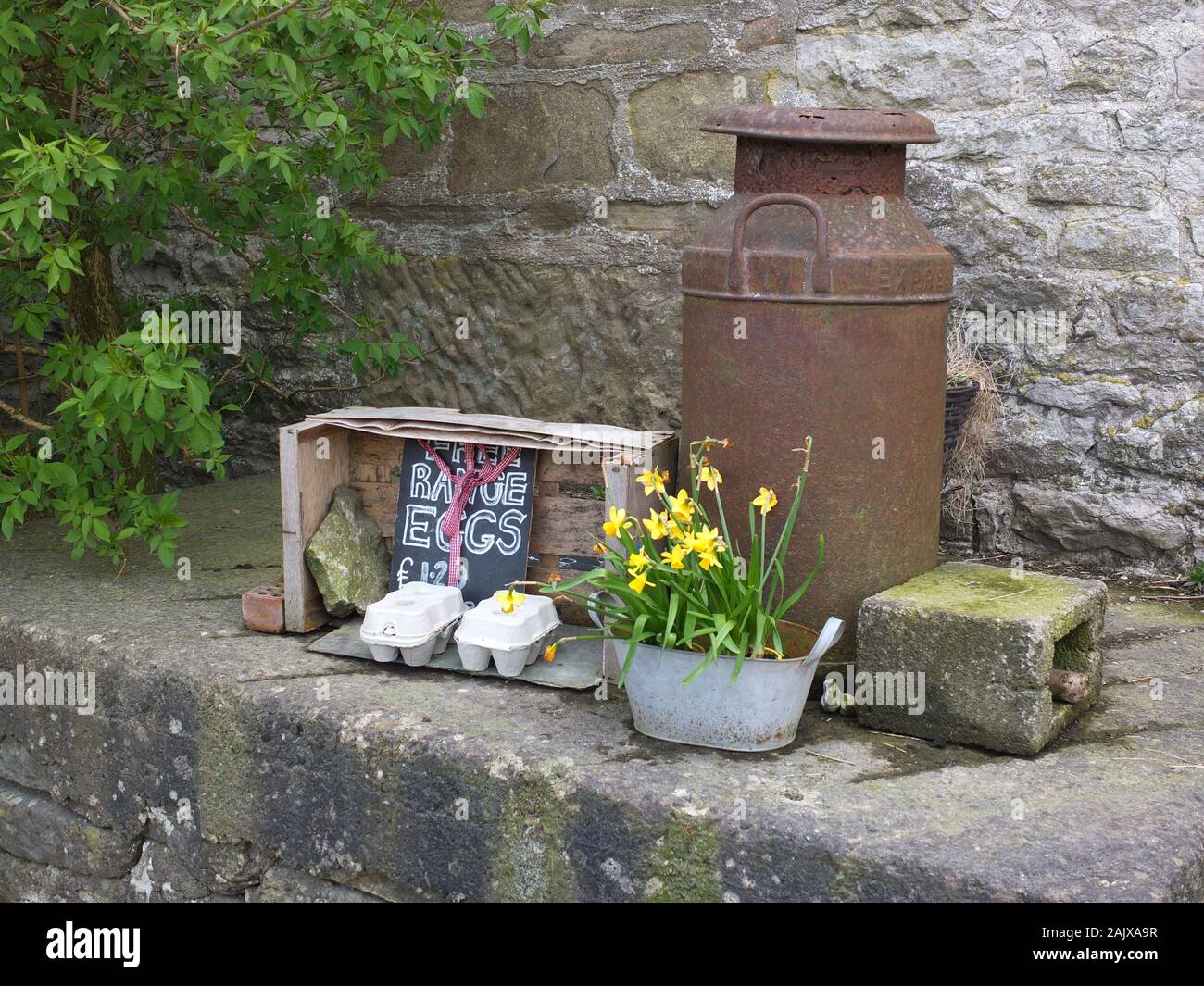 Ehrlichkeit Stall oder Ehrlichkeit, rustikalen Ständer verkaufen Eier mit Milch arrangiert Kundenabwanderung und Narzissen in einem Derbyshire Peak District Village UK Stockfoto