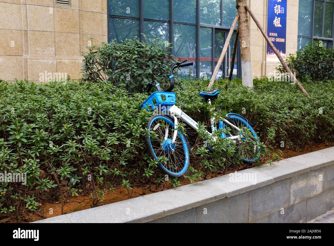 Ein ridesharing Fahrrad in einer Hecke in Xiamen (Amoy), China verworfen. Stockfoto