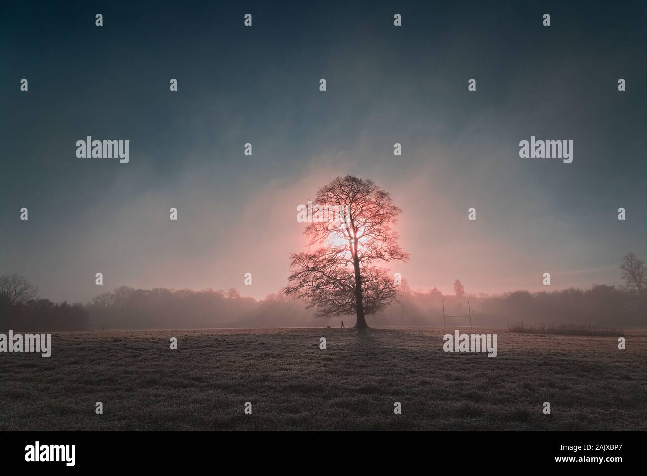 Misty Morning in Lloyds Park Croydon Spätherbst Stockfoto