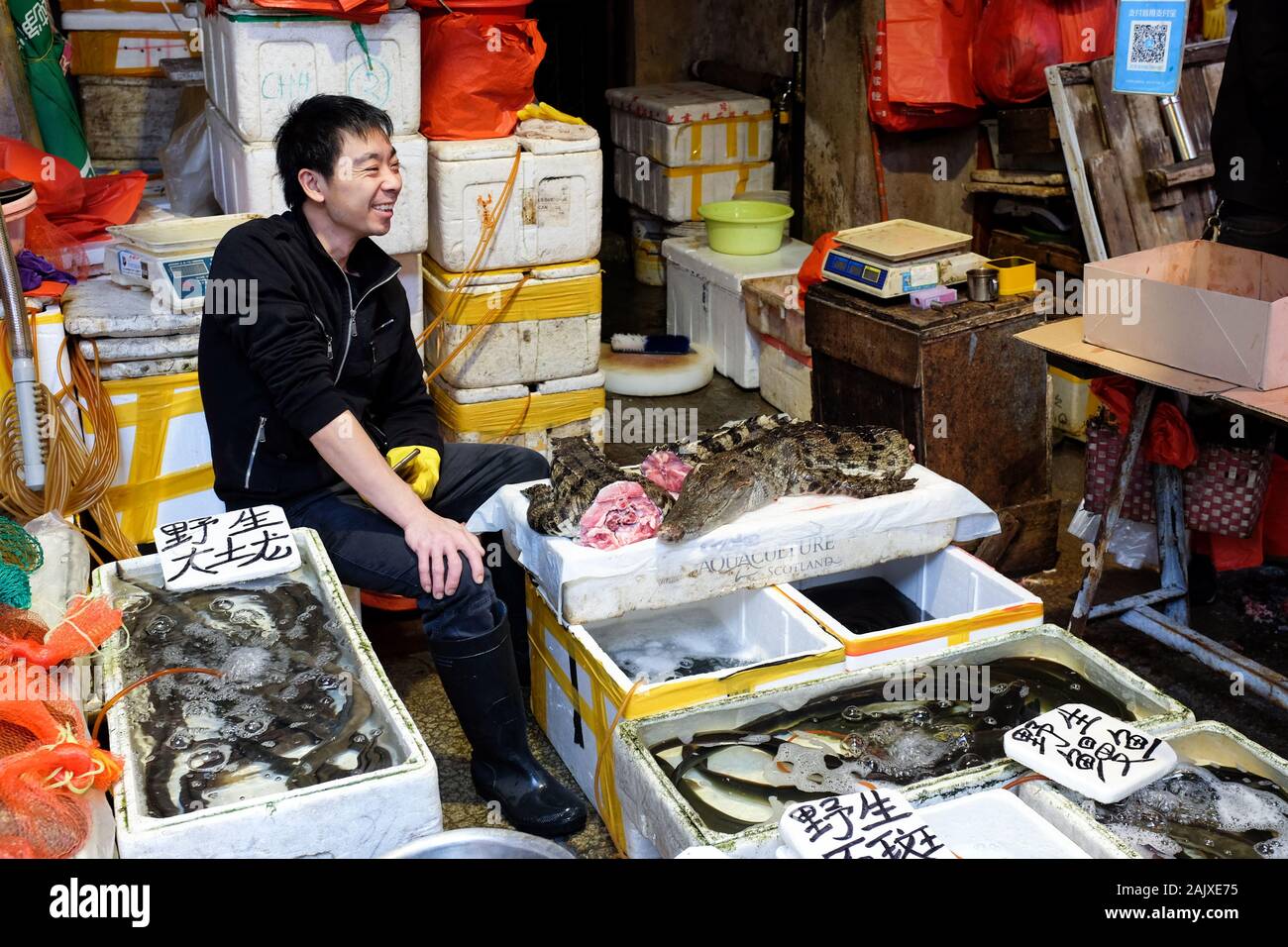 Krokodil zum Verkauf auf einem Markt in Xiamen (Amoy), China. Stockfoto