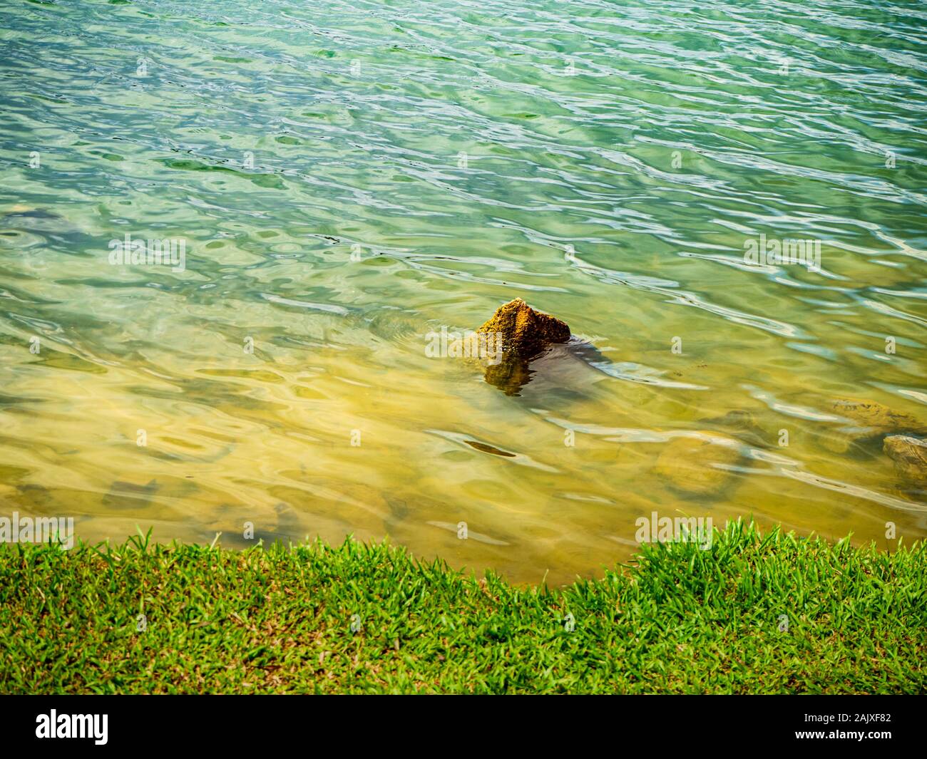 Nahaufnahme von Wasser Wellen auf ein Gewässer/See mit einem einsamen Felsen oberhalb der Wasseroberfläche und einem Grasbewachsenen bank im Vordergrund. Natur conce Stockfoto