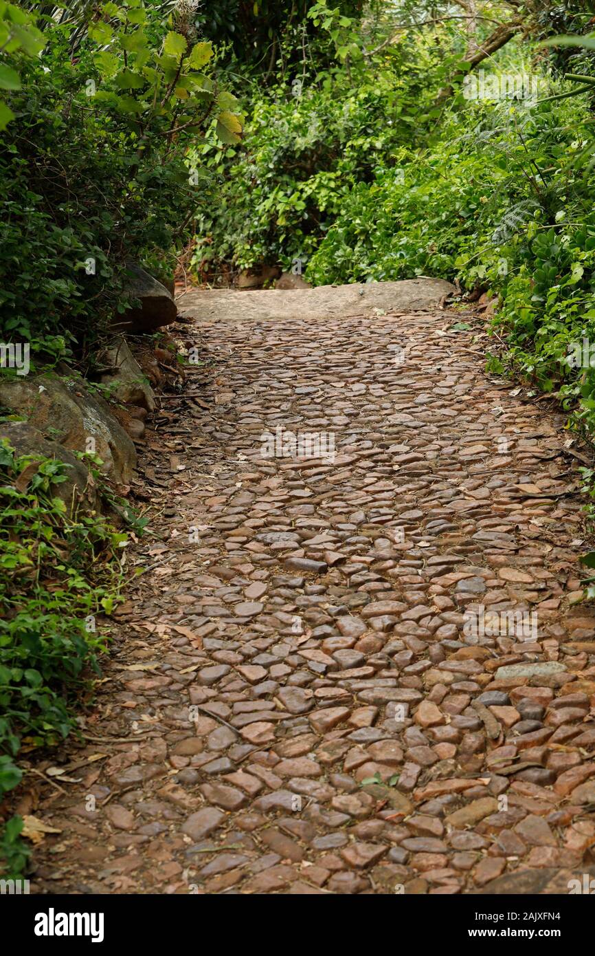 Stein gepflasterten Fußweg in Kirstenbosch National Botanical Garden, Cape Town, Südafrika. Stockfoto