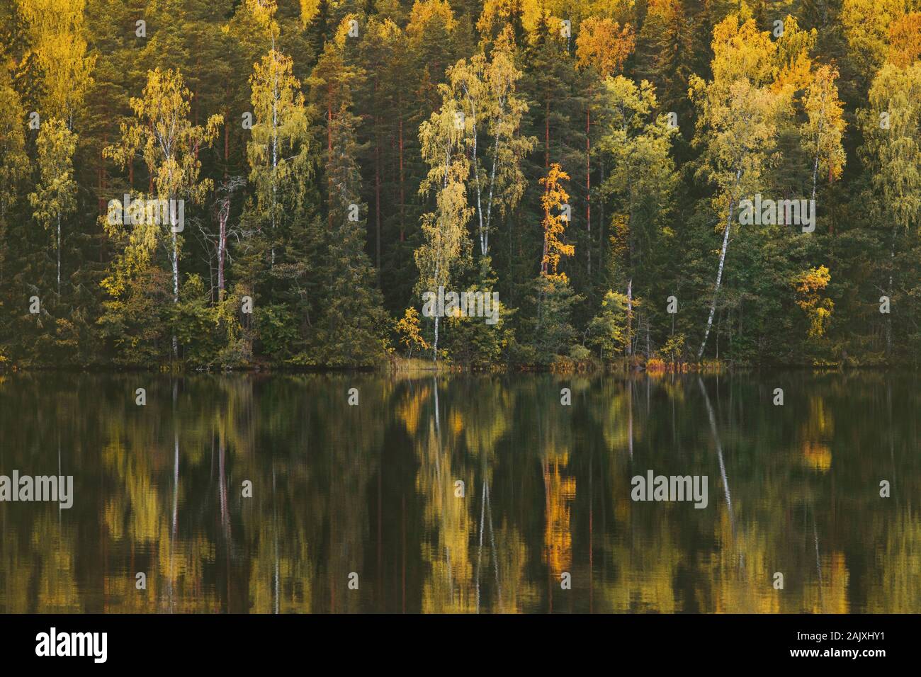 Herbst Wald und See Reflexion Landschaft in Finnland reisen ruhigen malerischen Blick skandinavischen Wäldern wüste Natur Bäume Hintergrund Stockfoto