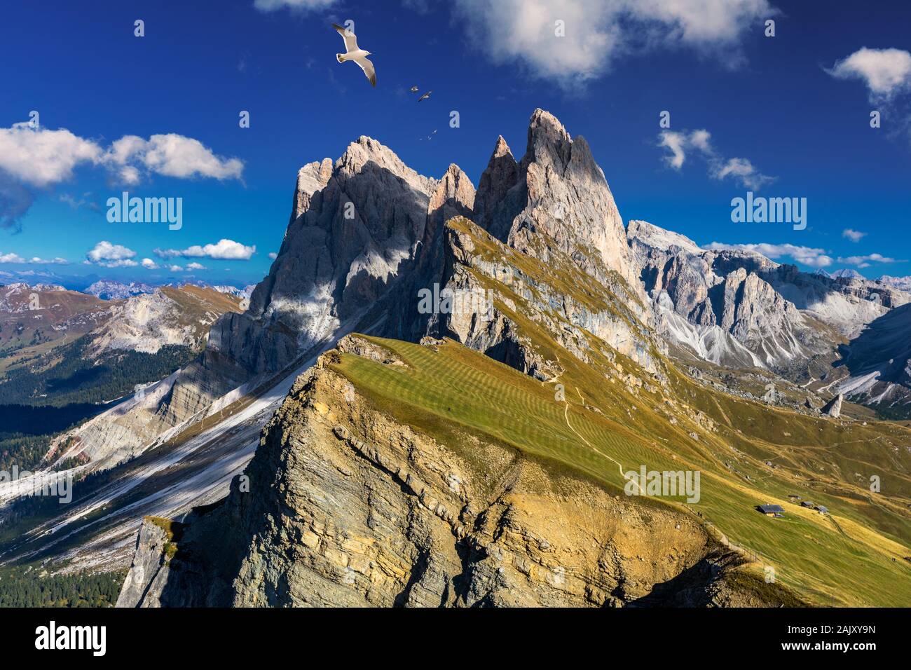 Blick auf die Seceda mit Vögel fliegen über die Gipfel. Trentino Südtirol, Dolomiten, Alpen, Südtirol, Italien. Gröden. Majestic Furchetta Peak. Odles Stockfoto