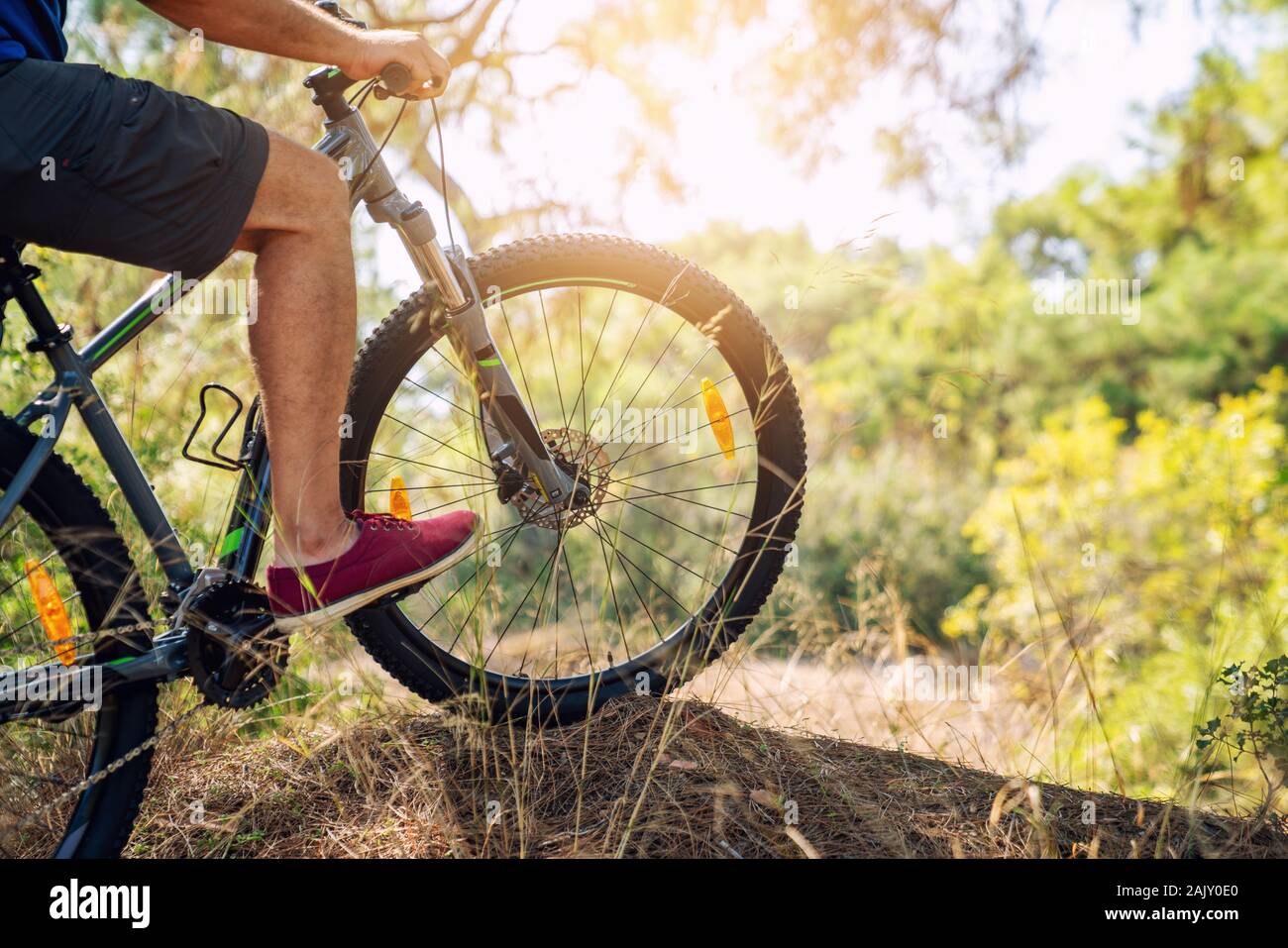 Reiten Mountainbike im Wald für ein gesundes Leben. Stockfoto