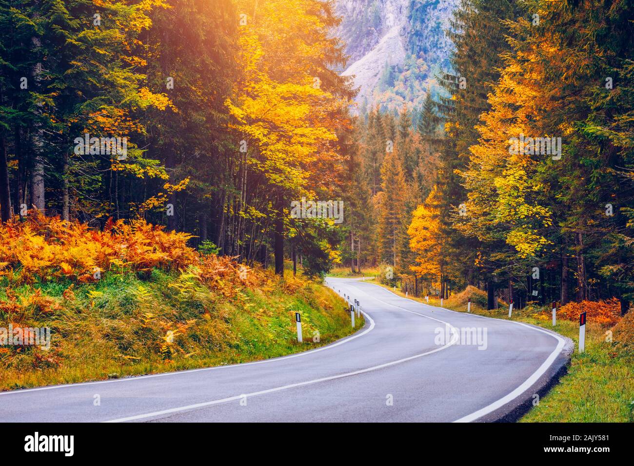 Blick auf kurvenreichen Straße. Asphaltierte Straßen in den italienischen Alpen in Südtirol, im Herbst Saison. Herbst Szene mit gekrümmten Straßen- und gelbe Lärchen aus Bo Stockfoto