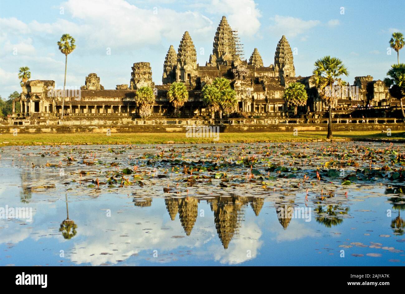 Angkor Wat, gespiegelt in der Lotus Lake Stockfoto