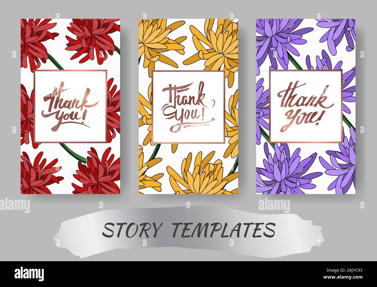 Vektor Chrysantheme botanischen Blume. Schwarz und weiß eingraviert Tinte Art Hochzeit hintergrund Karte Blumen dekorativ Grenze. Danke, Rsvp, Einladung Stock Vektor