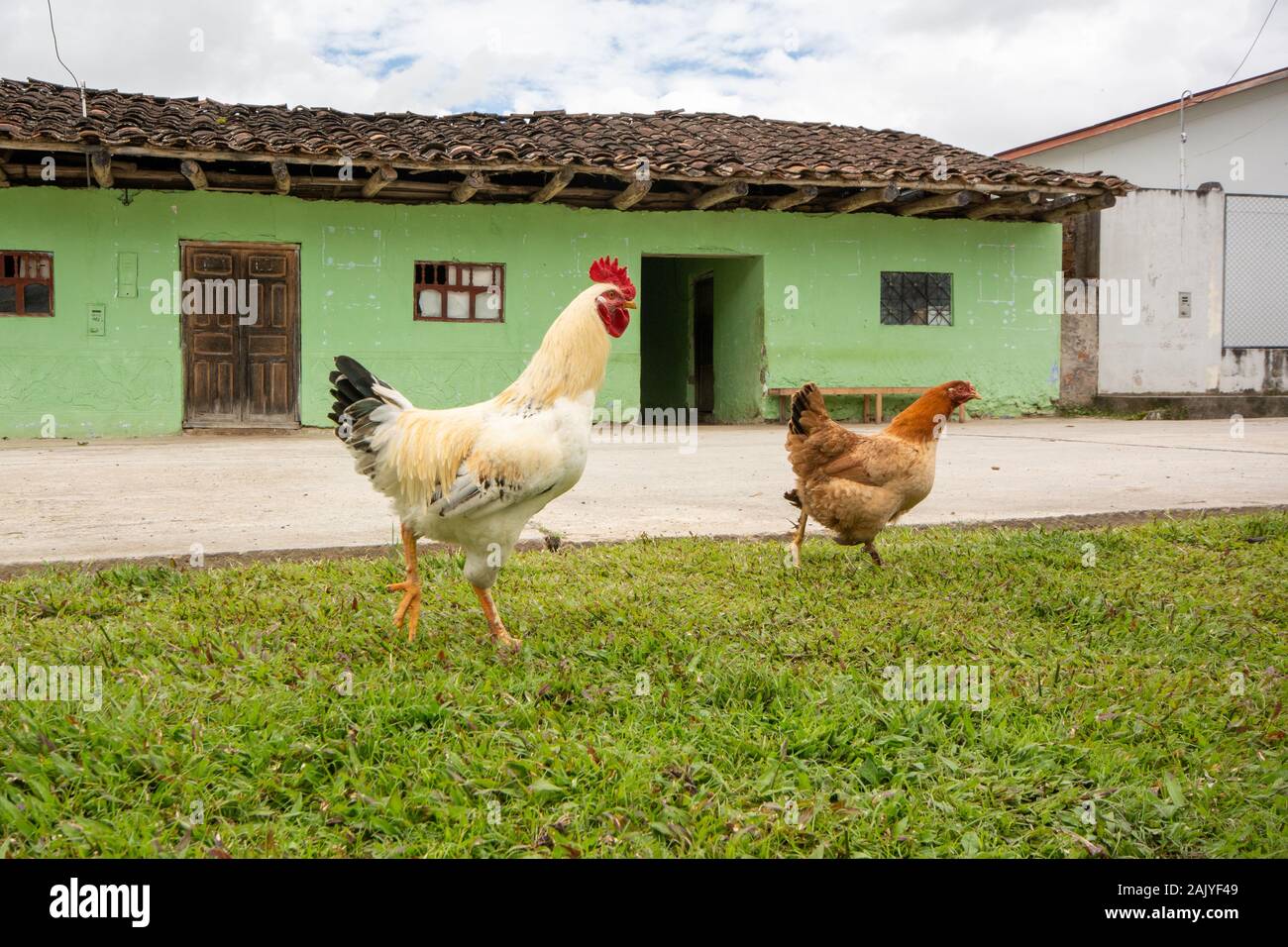 Typisches Haus aus Holzrahmen und Schlammbau in den östlichen Anden in der Region Amazonas im Norden Perus Stockfoto