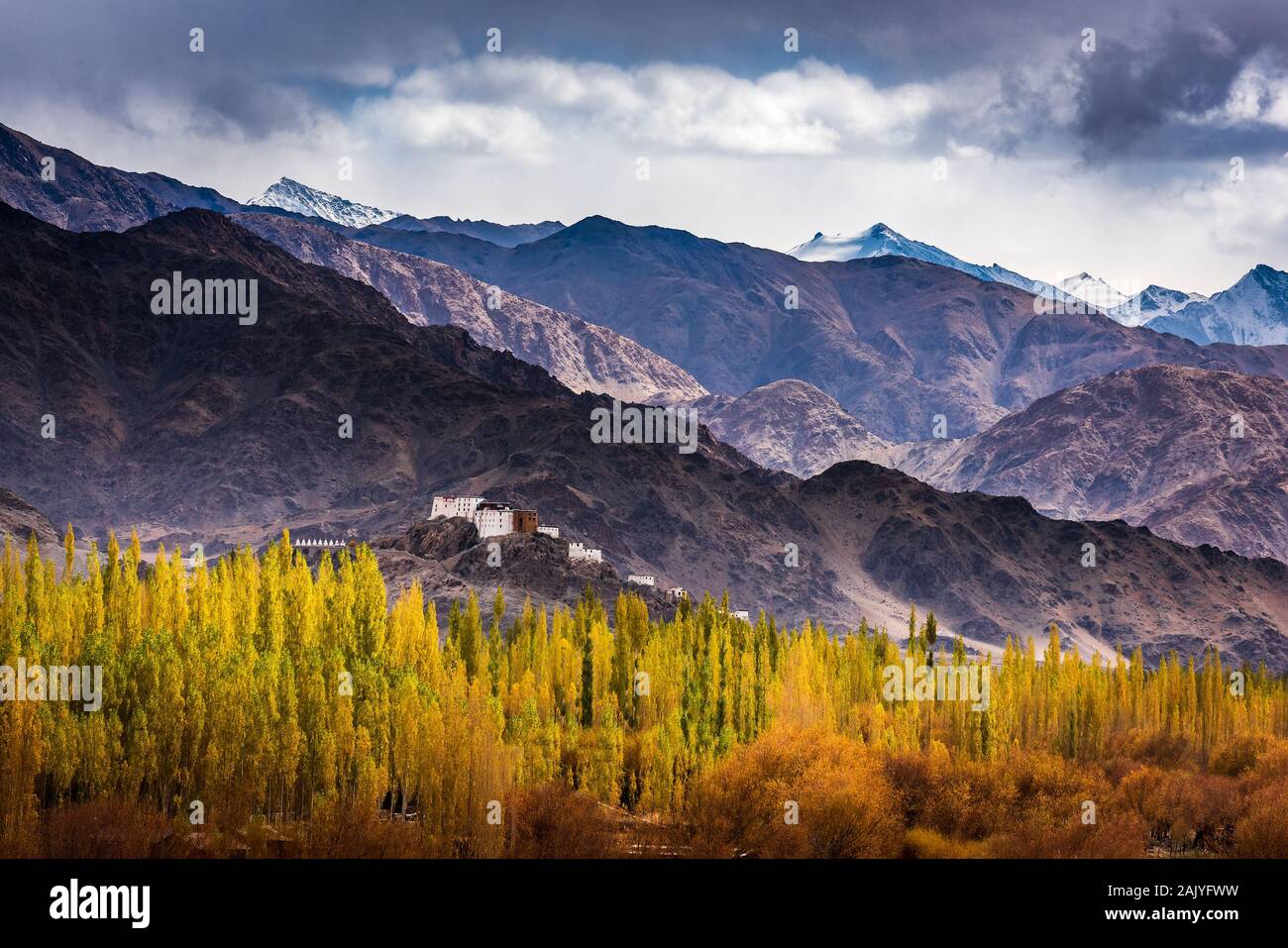 Blick auf die Stadt von Leh Leh Palast, Leh, Ladakh Stockfoto