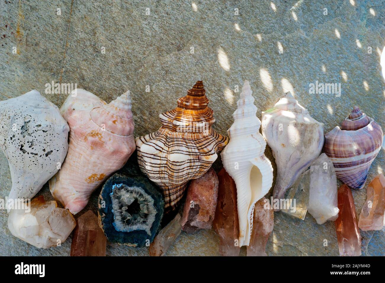 Kristalle, Steine und Muscheln in Licht und Schatten Rainbow Light. Natürliche Objekt still life Fotografie. Stockfoto
