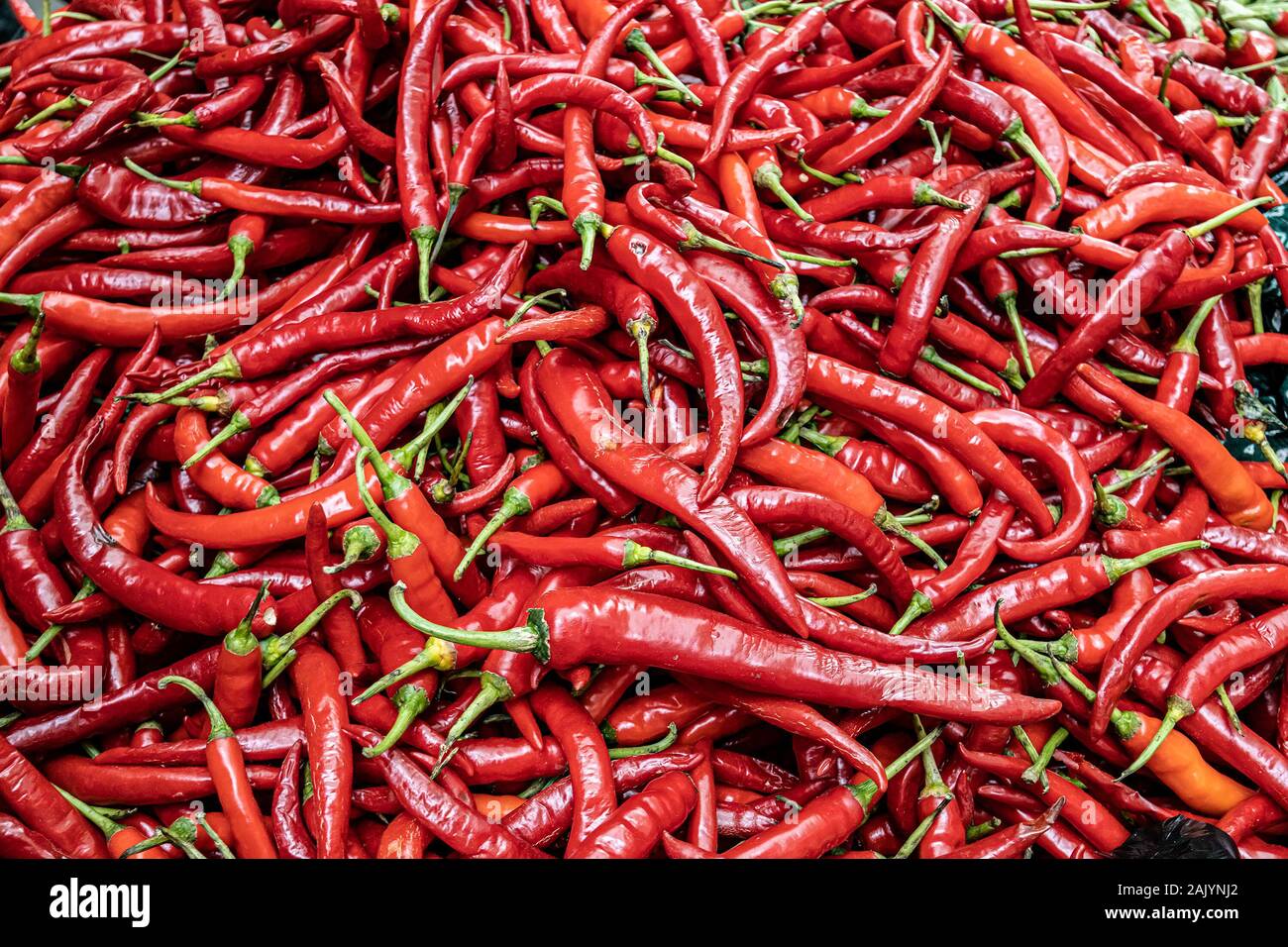 Red Chili Hintergrund. Indien Zutat für Verkauf im Markt Stockfoto