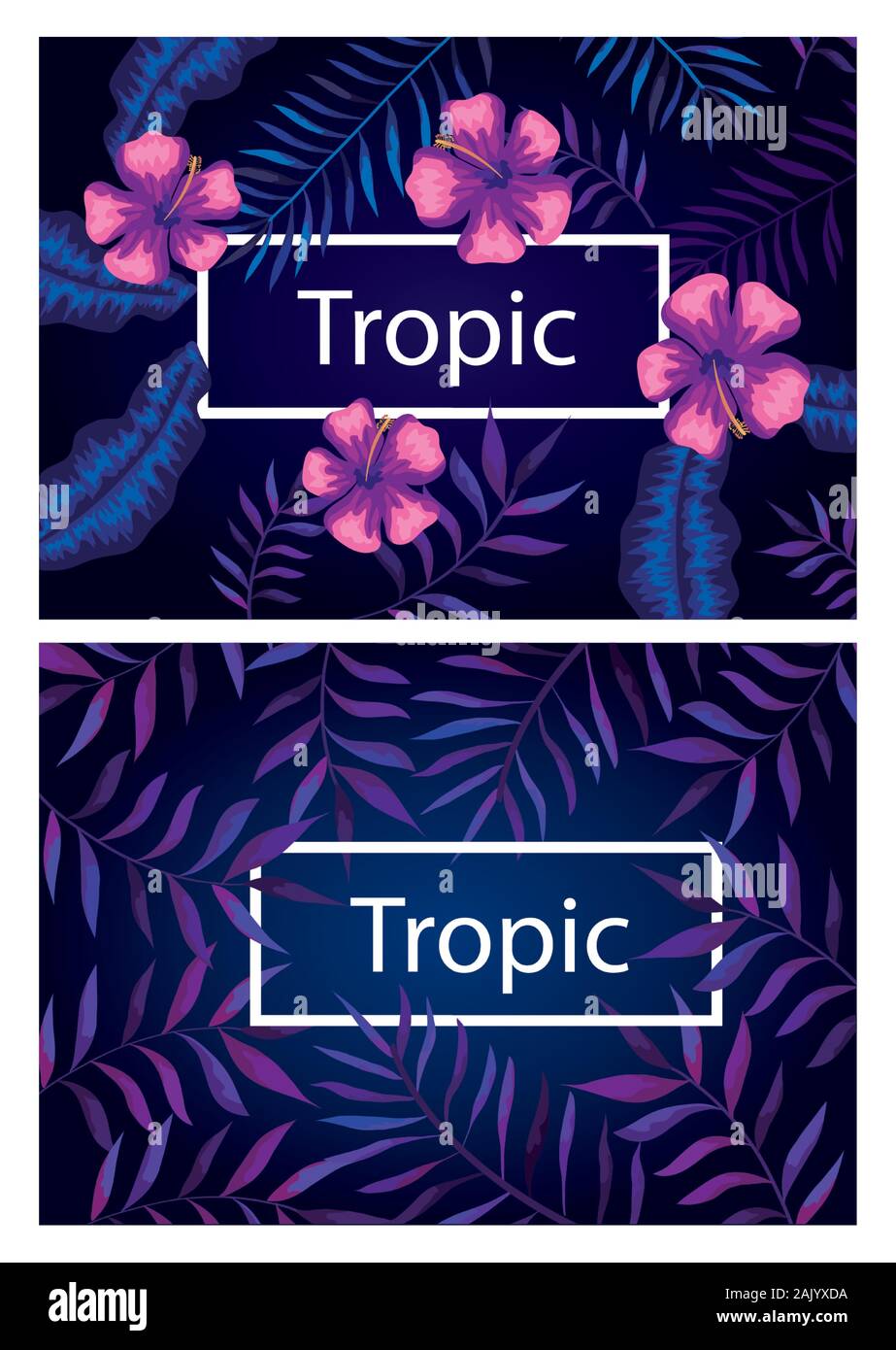 Satz von Frames tropic mit Blumen und Blätter Stock Vektor
