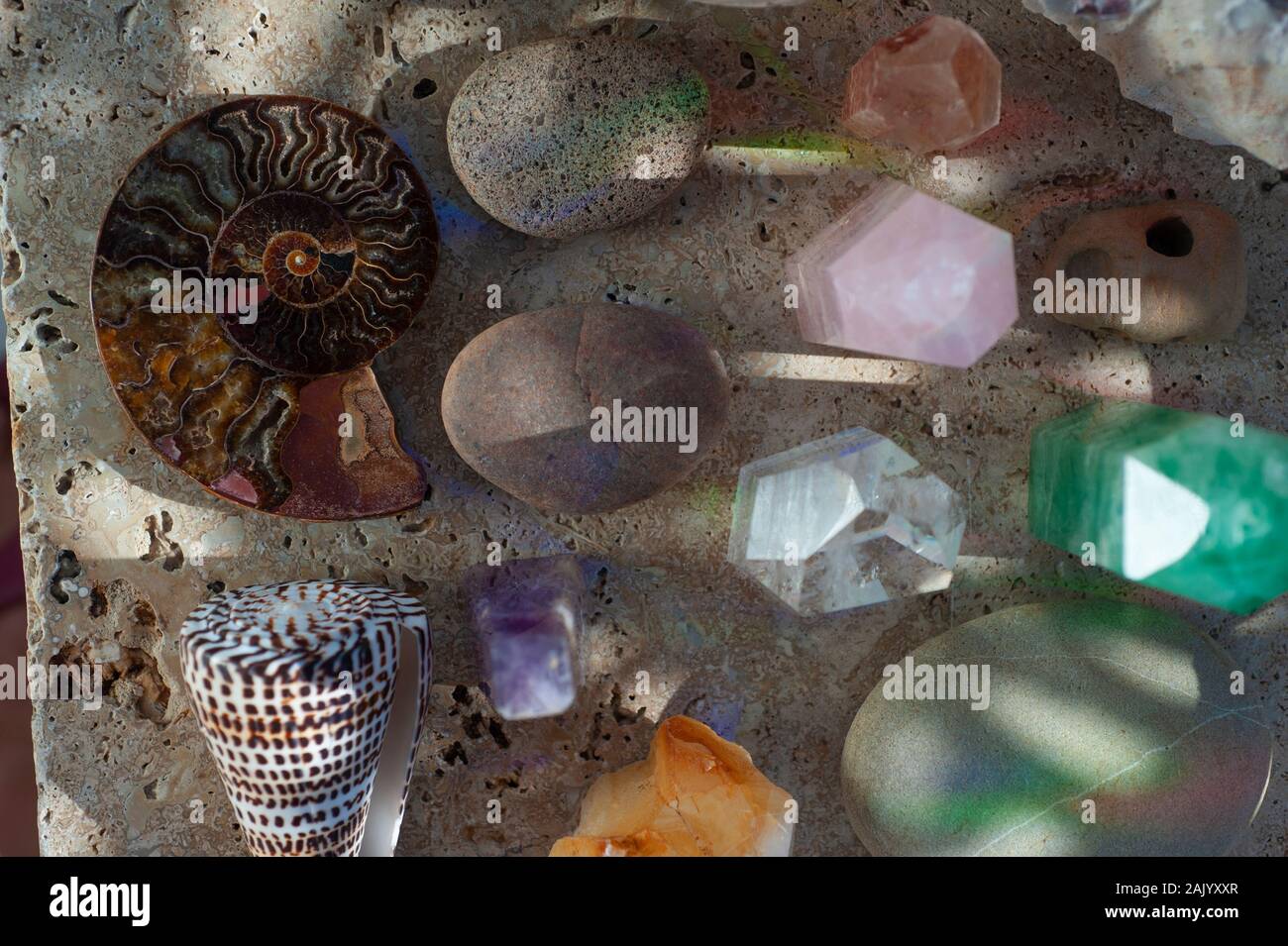 Kristalle, Steine und Muscheln in Licht und Schatten Rainbow Light. Natürliche Objekt still life Fotografie. Stockfoto