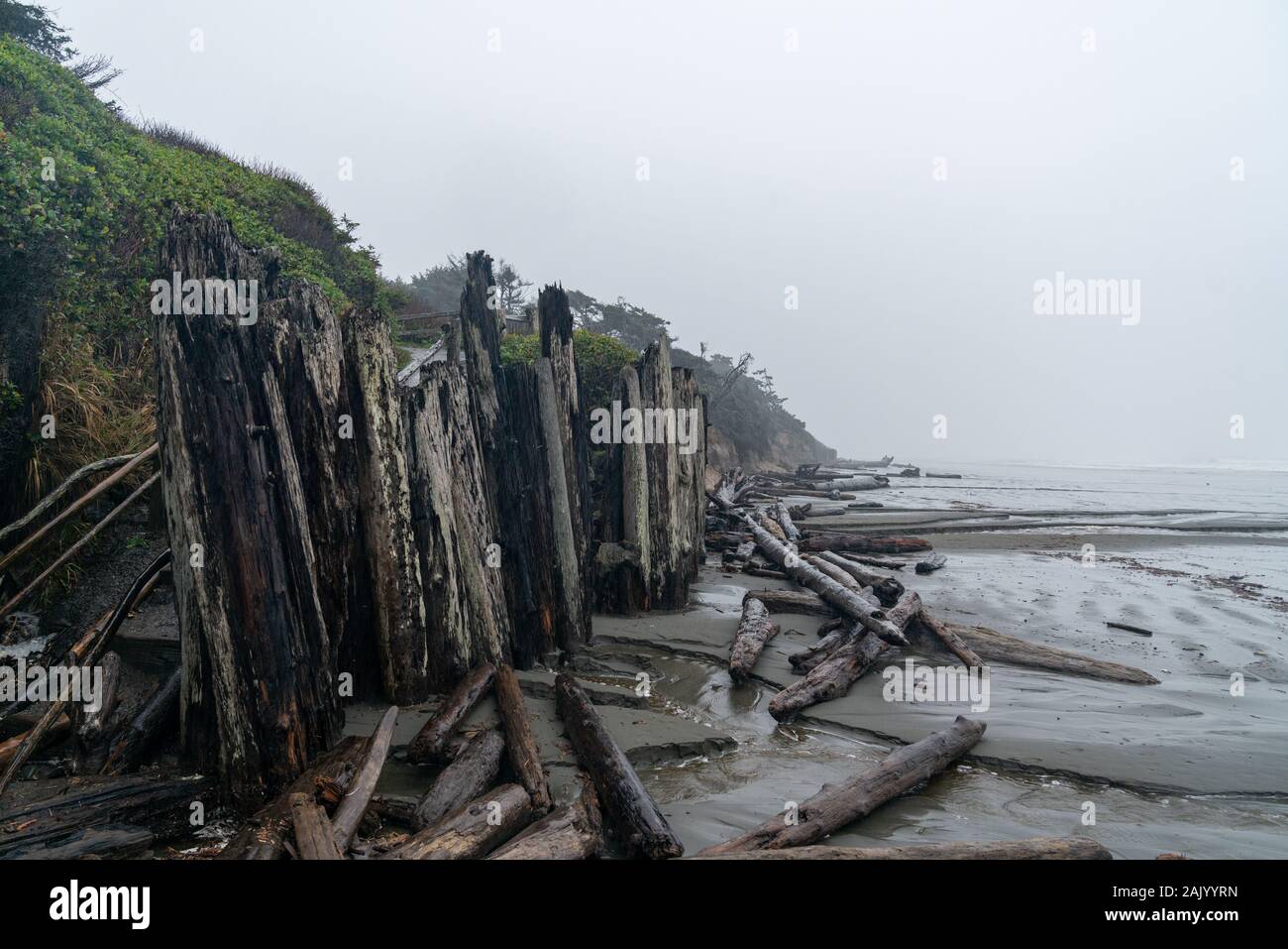 Strand auf der Wind fegte Olympic Peninsula, Washington. Stockfoto
