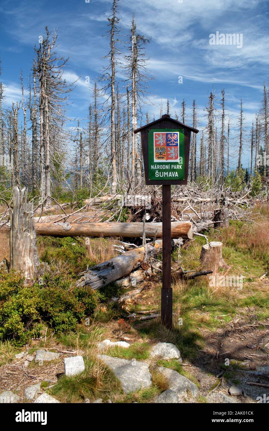 Landschaft mit Wald - Tote und gefallene Bäume und wachsende junge lebende Bäume (Fichte), Schild Nationalpark Böhmerwald (Sumava) im Vordergrund, Czec Stockfoto