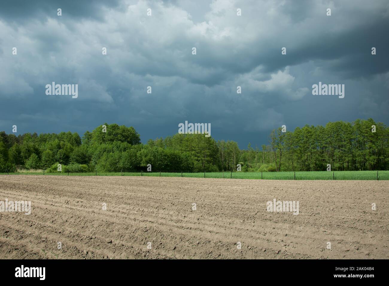 Gepflügten Feldes, grünen Wald und dunklen Gewitterwolken Stockfoto