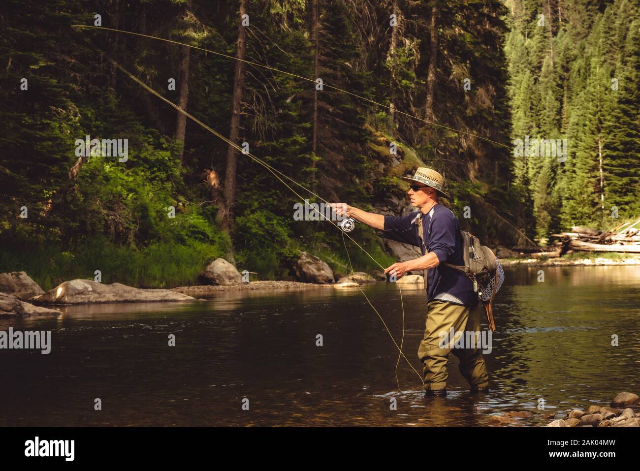 Eine Fliege Fischer die Fischerei auf wilde Forellen auf dem Berg River im Wald im Norden von Idaho. Stockfoto