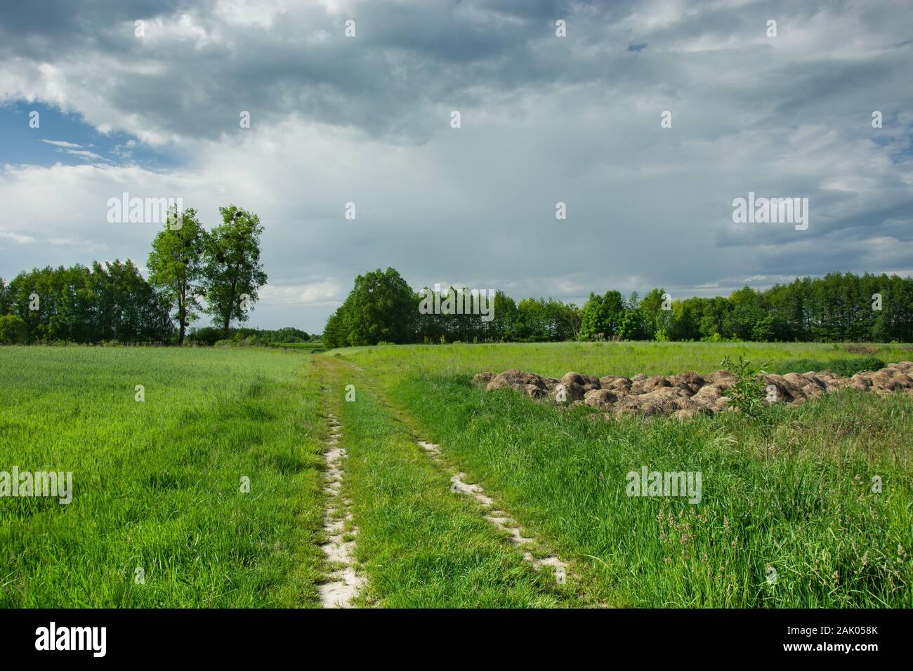 Unbefestigte Straße durch grüne Felder, Bäume und dunkle Wolken am Himmel Stockfoto