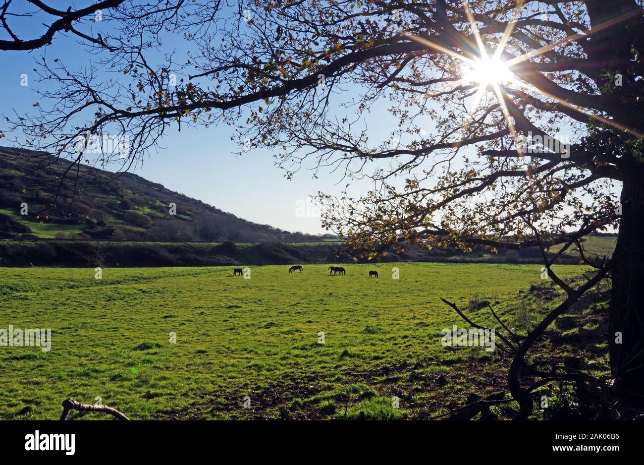 Sardinien Landschaft in der Nähe von Sassari Stockfoto