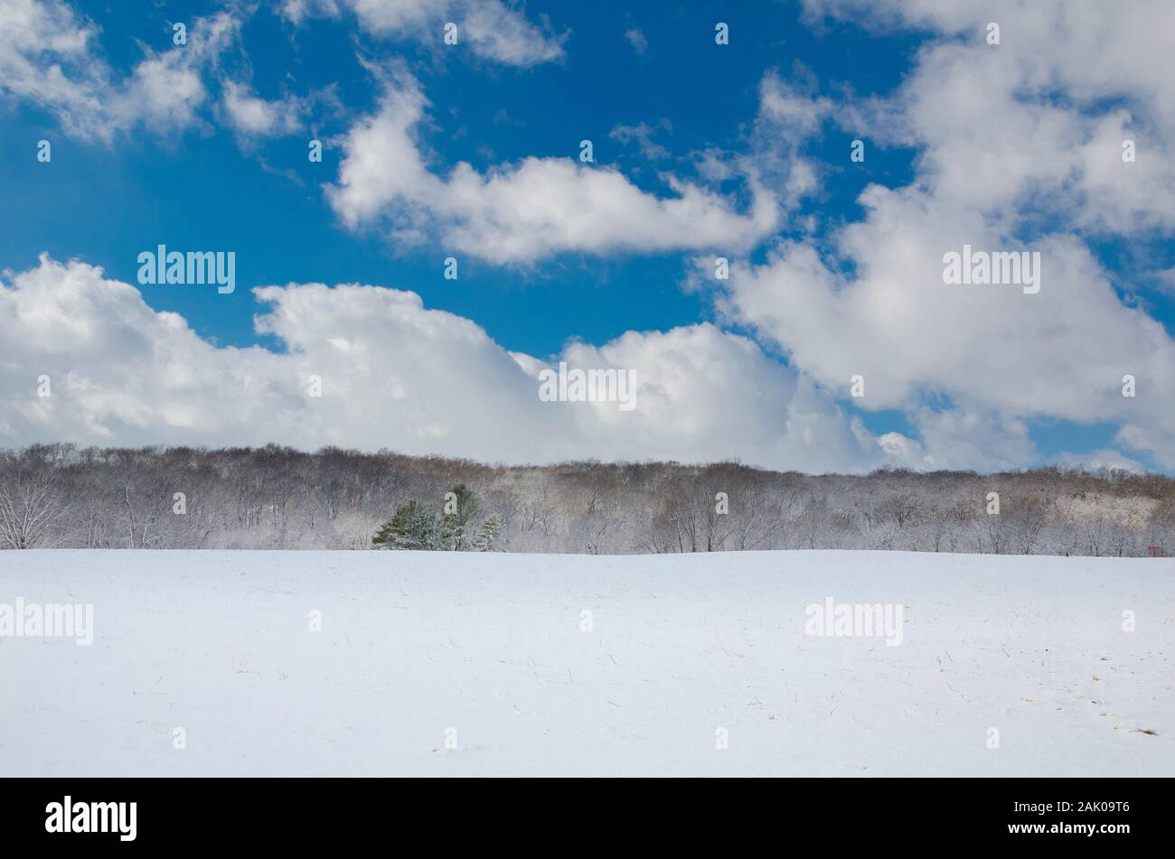 Verschneite Winterprairie mit teilweise bewölktem Sonnenschein Stockfoto