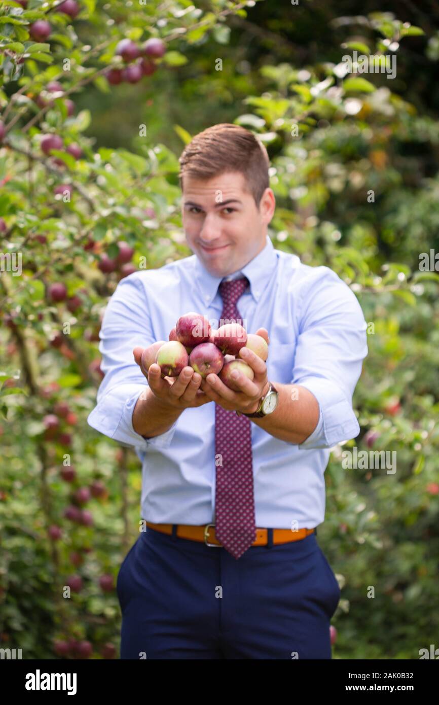 Lächelnder Mann in Krawatte mit einer Handvoll Äpfel im Obstgarten. Stockfoto