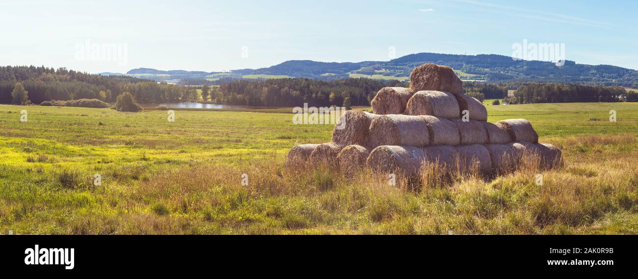 Stapel von Strohballen auf Feld von Gras, Landschaft mit Wiese, Teich, Wald und Hügel im Hintergrund, Sommertag mit klarem Himmel Stockfoto