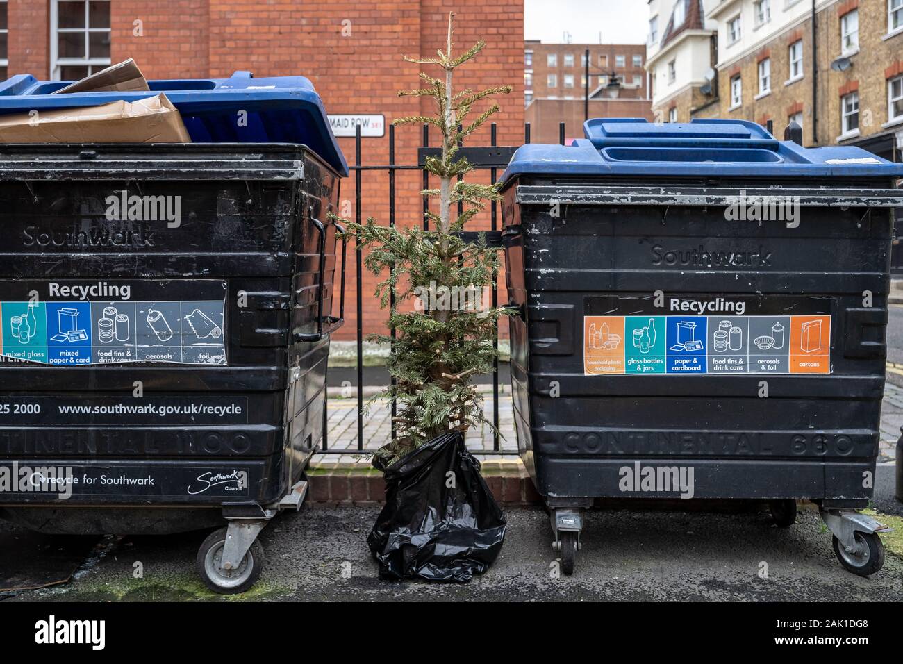 London, Großbritannien. 3. Januar, 2020. Ein Weihnachtsbaum ist neben einigen recycling Bins in East London verworfen. Credit: Guy Corbishley/Alamy leben Nachrichten Stockfoto