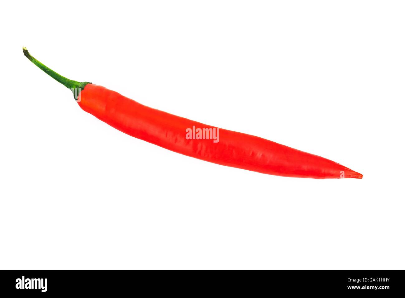 Eine rote Chili auf weißem Hintergrund Stockfoto