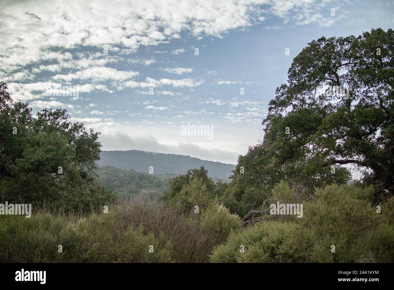 Blick vom Wanderweg im New Almaden Quicksilver Mine County Park, in der Nähe von San Jose, Kalifornien. Stockfoto