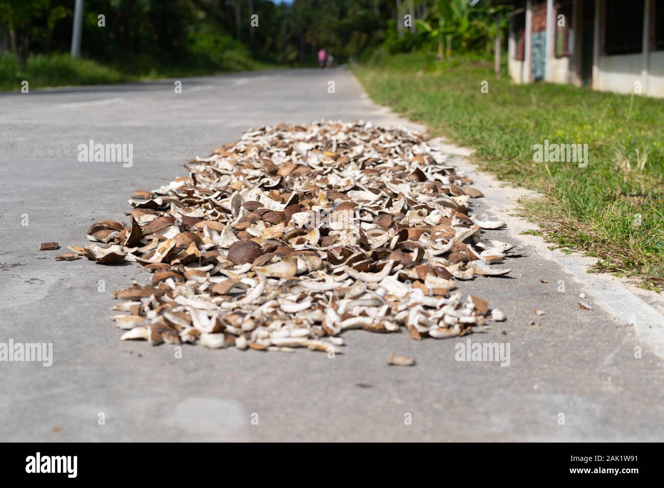Stücke von Coconut bekannt als Kopra, die bei der Herstellung von Kokosöl verwendet, traditionell Trocknung unter der heißen Sonne auf einer öffentlichen Straße in Siargao, Philippinen Stockfoto