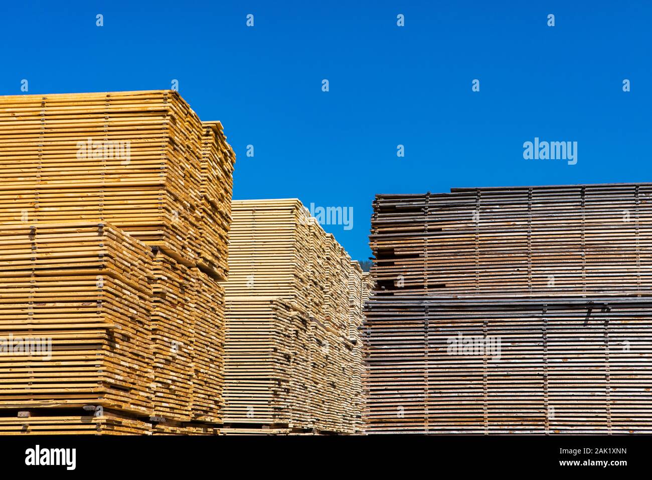 Eine Fülle von holzbohlen werden gesehen in einem Sägewerk yard gespeichert. Herstellung von natürlichen Baustoffen in British Columbia, Kanada. Mit Platz kopieren Stockfoto