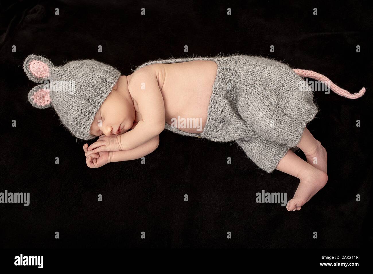 Cute Baby Mouse Stockfotos Und Bilder Kaufen Alamy
