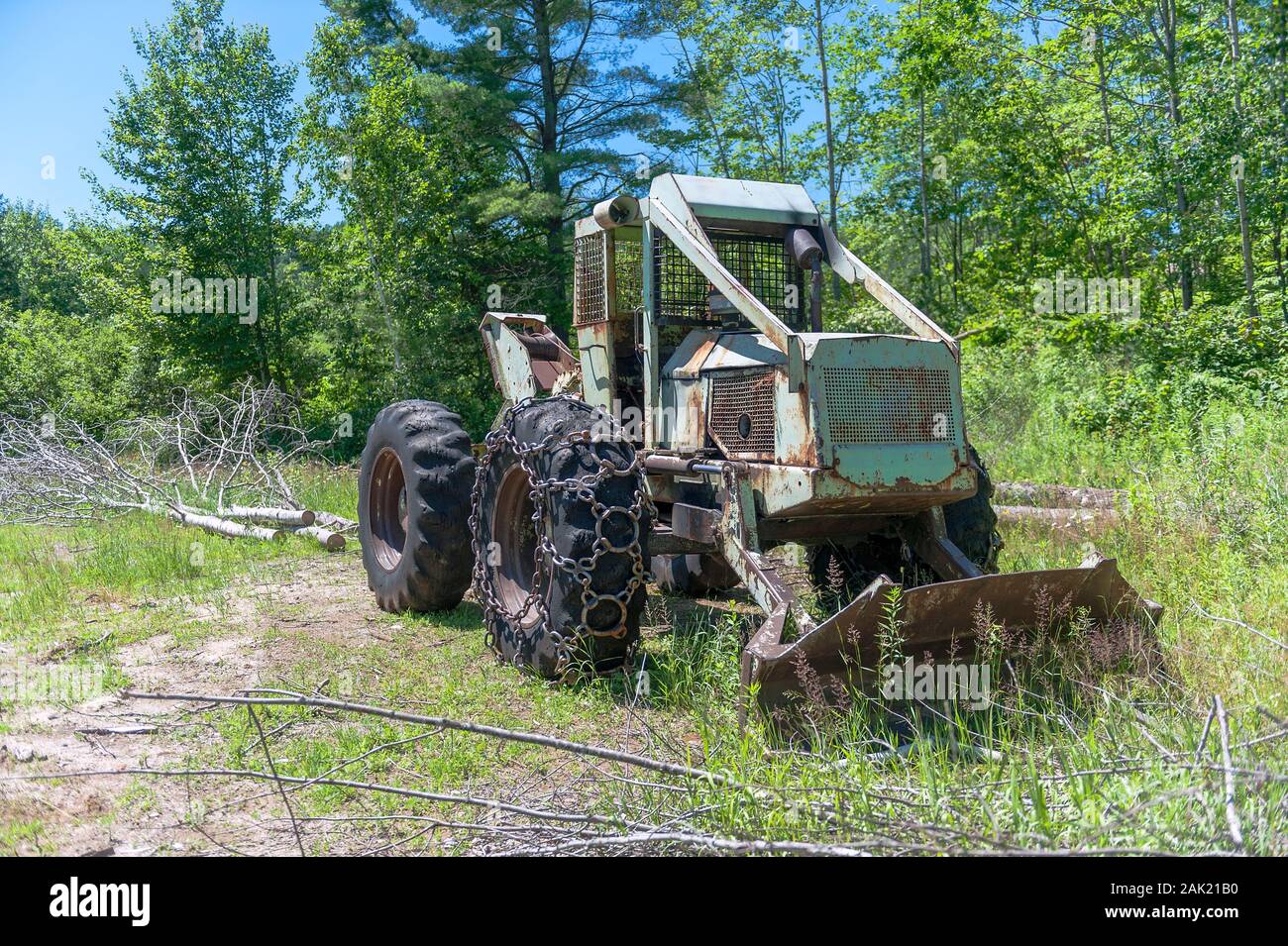 Alte skidder sitzt in den Wald verlassen Stockfoto