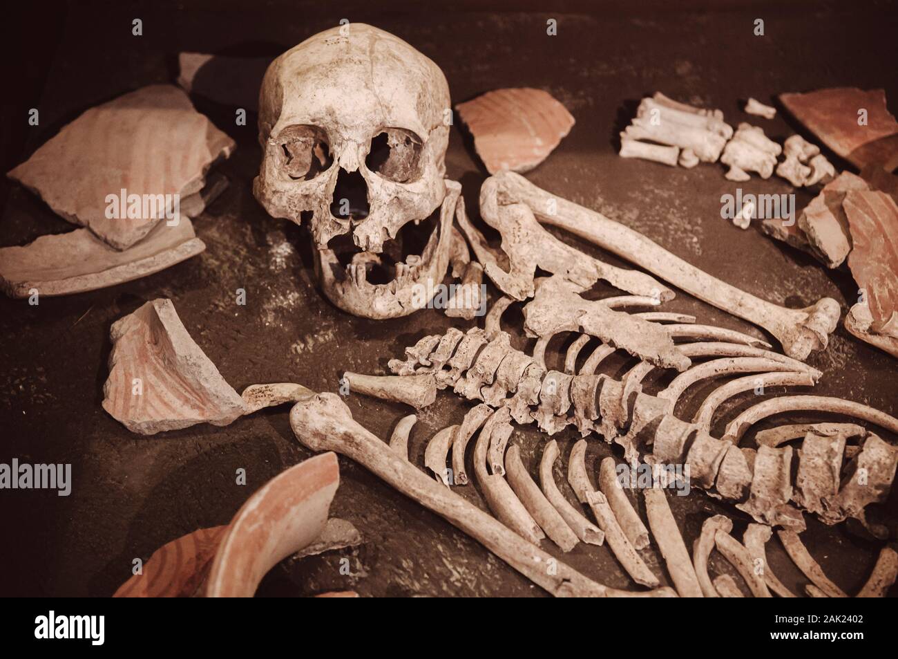 Antike Urgeschichte menschliche Knochen in der archäologischen Ausgrabungsstätte von Ban Chiang, Udon Thani, Thailand Stockfoto