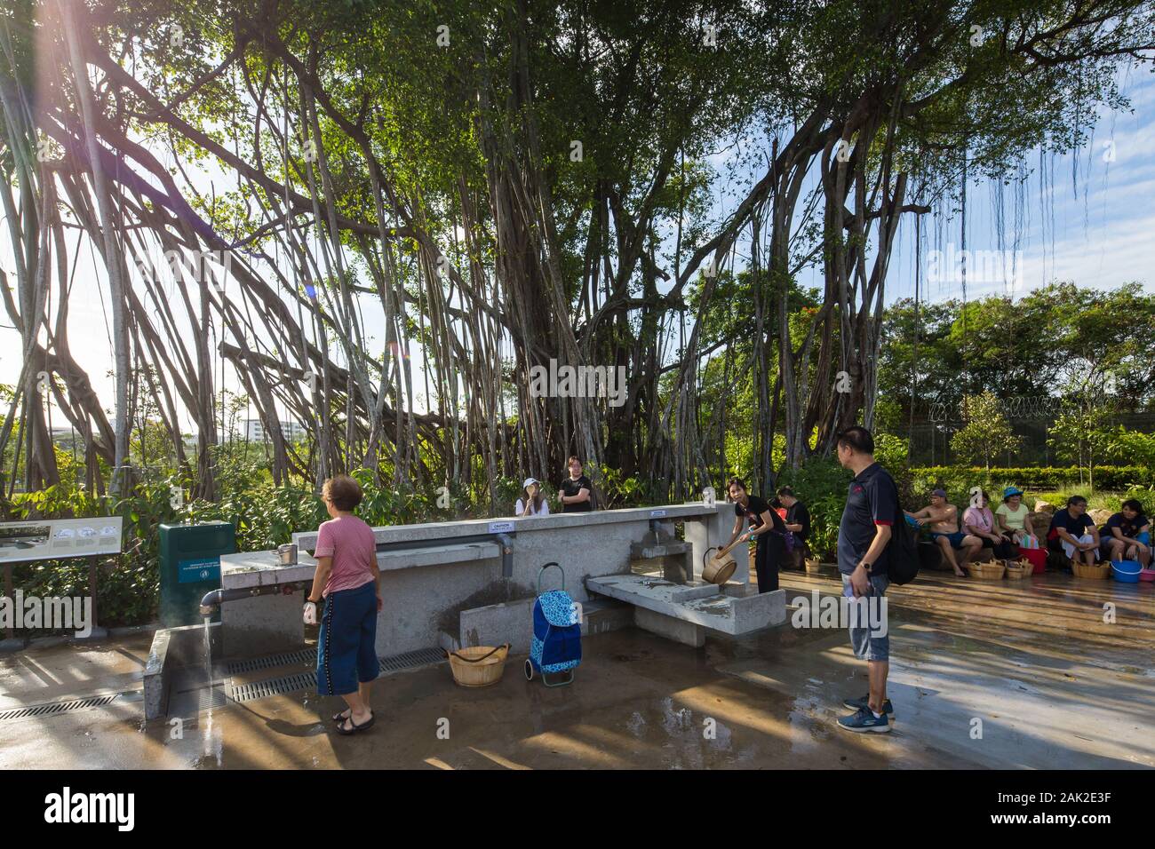 Öffentliche sammeln heißes Quellwasser an der Sammelstelle oder ihre Eier kochen, Sembawang Hot Spring Park, Singapur Stockfoto