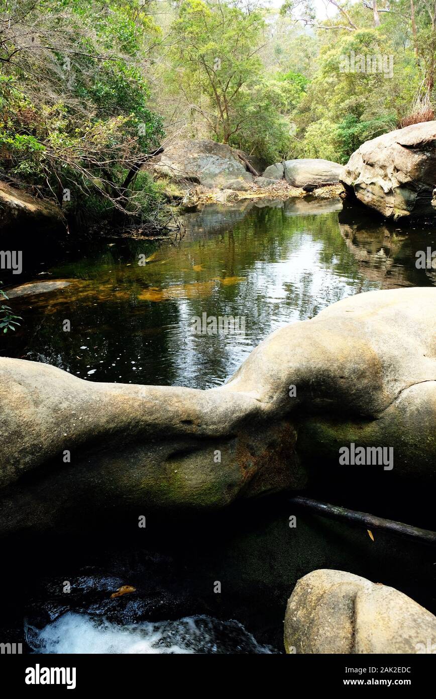 Schönen Rocky Pool in Berowra National Park, Australien Stockfoto