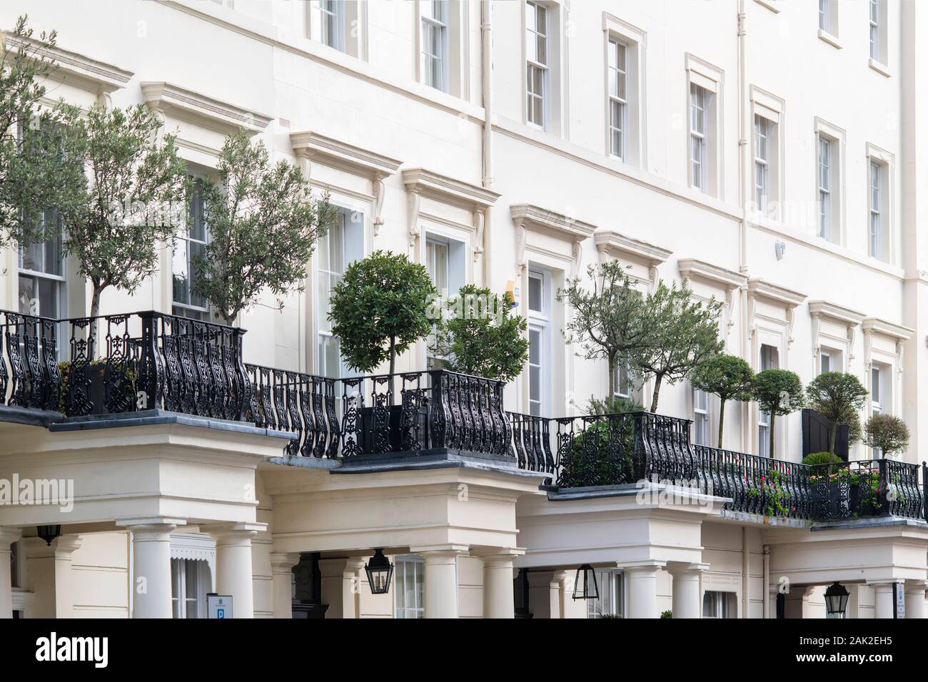 Bäume in Töpfen auf dem Balkon im Süden von Eaton Place, Belgravia, London, England Stockfoto