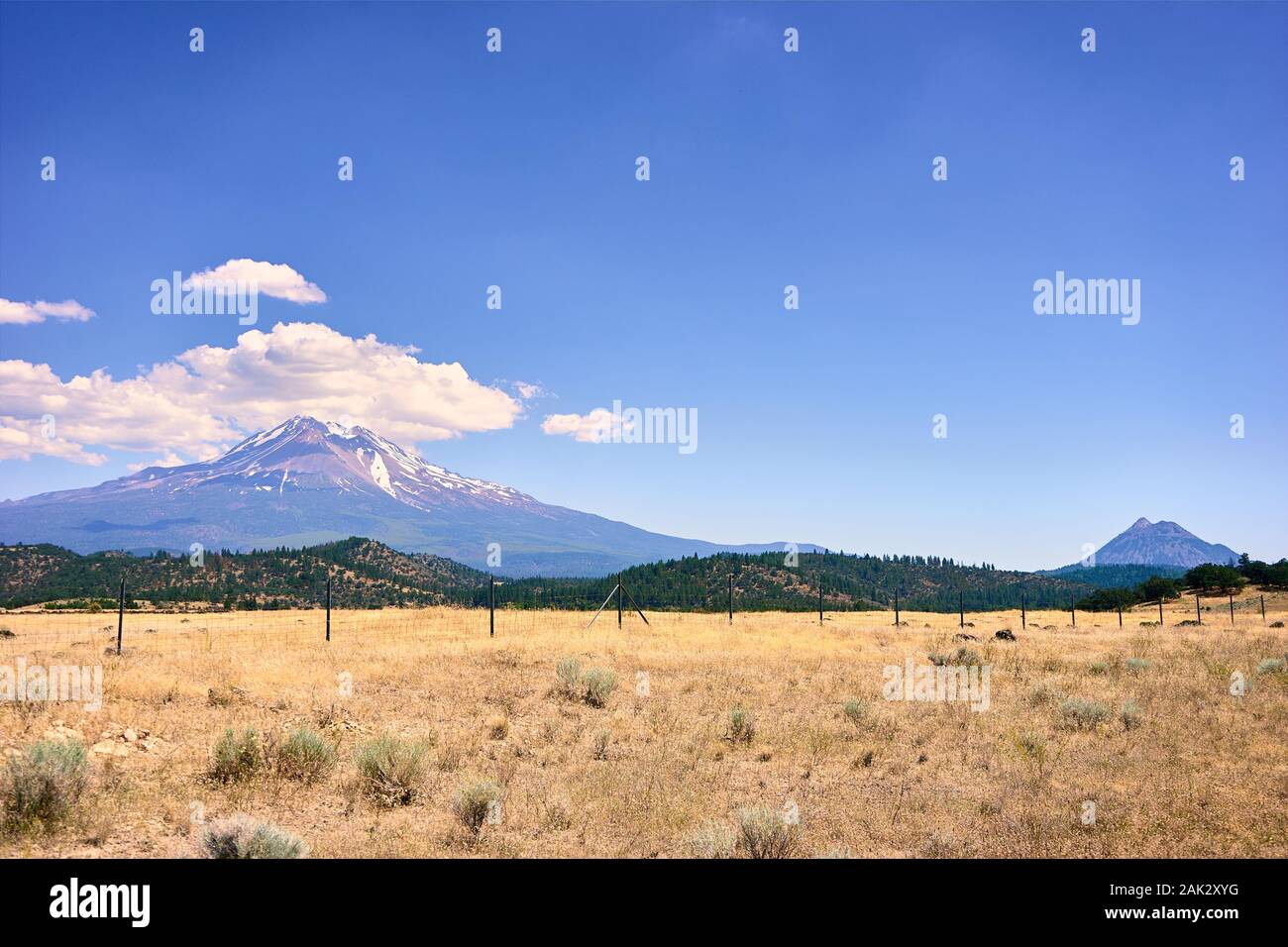 Mount Shasta mit Schnee und Eiskappe im Sommer ist ein riesiger Vulkan in Kalifornien. Sie überragt die umliegenden Ebenen und Hügel. Stockfoto