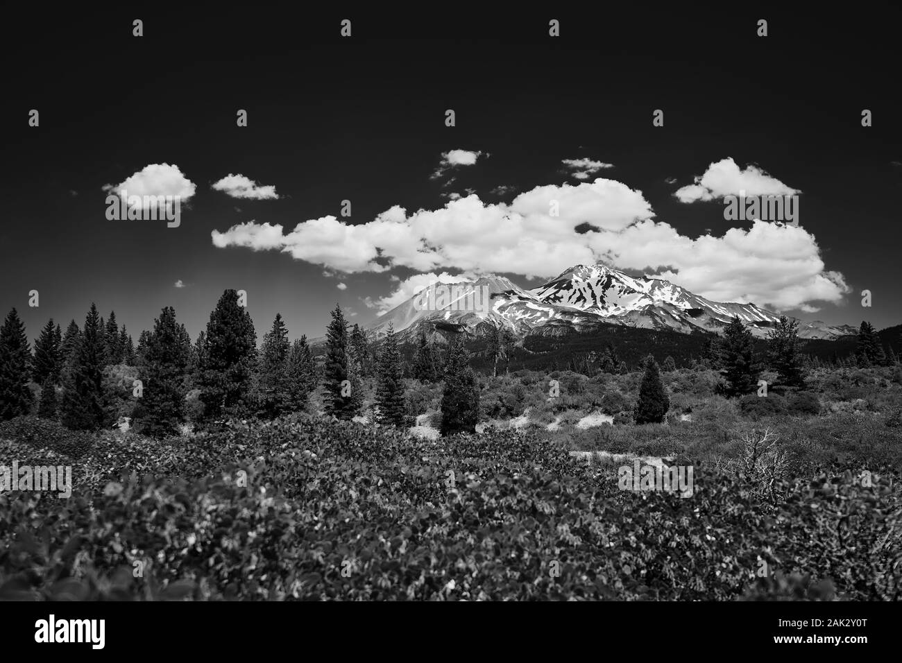 Mount Shasta mit Schnee und Eiskappe im Sommer ist ein riesiger Vulkan in Kalifornien. Sie überragt die umliegenden Ebenen und Hügel. Stockfoto