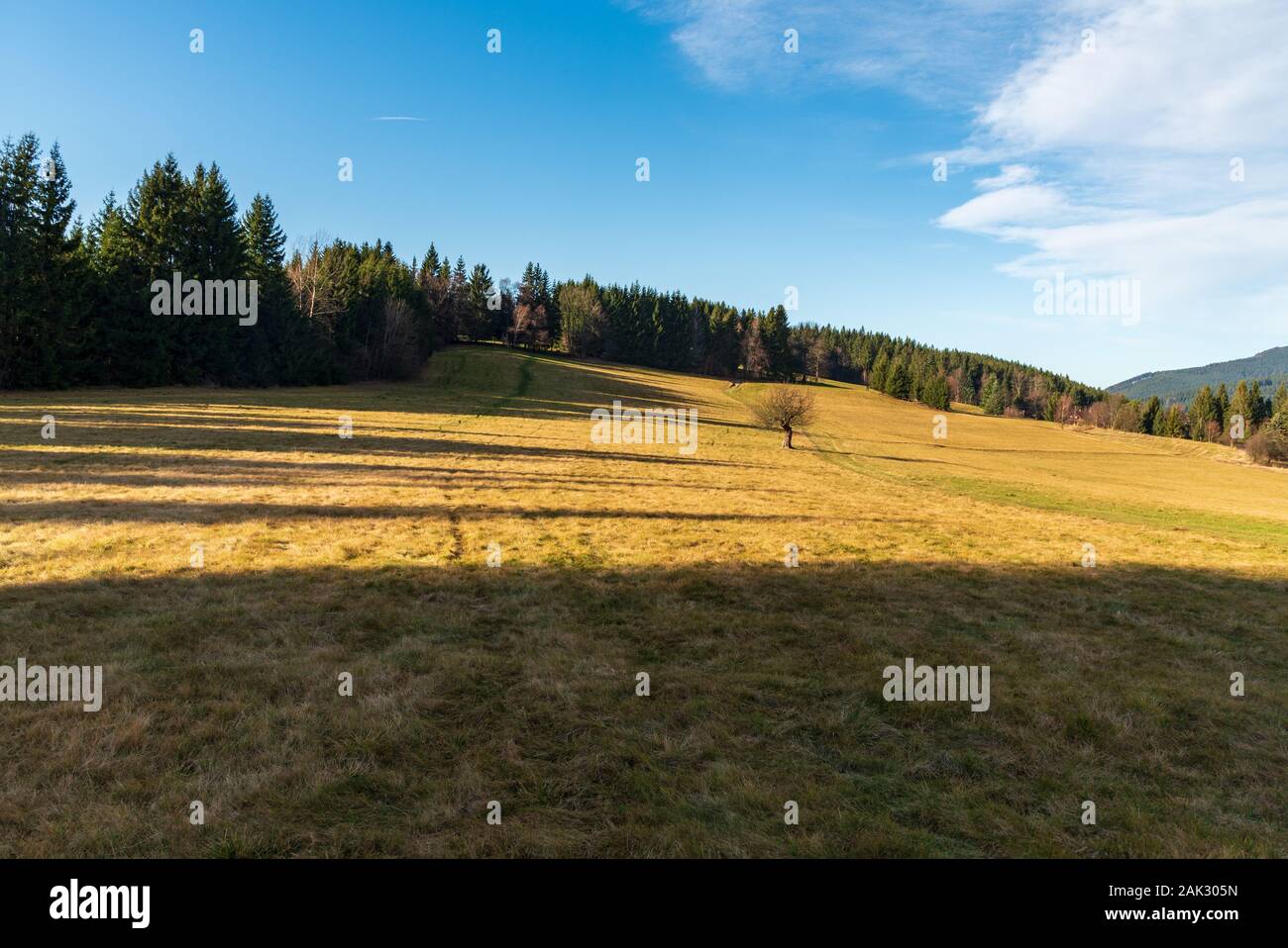 Spätherbst Wiese mit vereinzelten Bäumen und Wald in der Nähe von Vysni Mohelnice Siedlung balg Lysa hora Hügel in Moravskoslezske Beskiden in Stockfoto