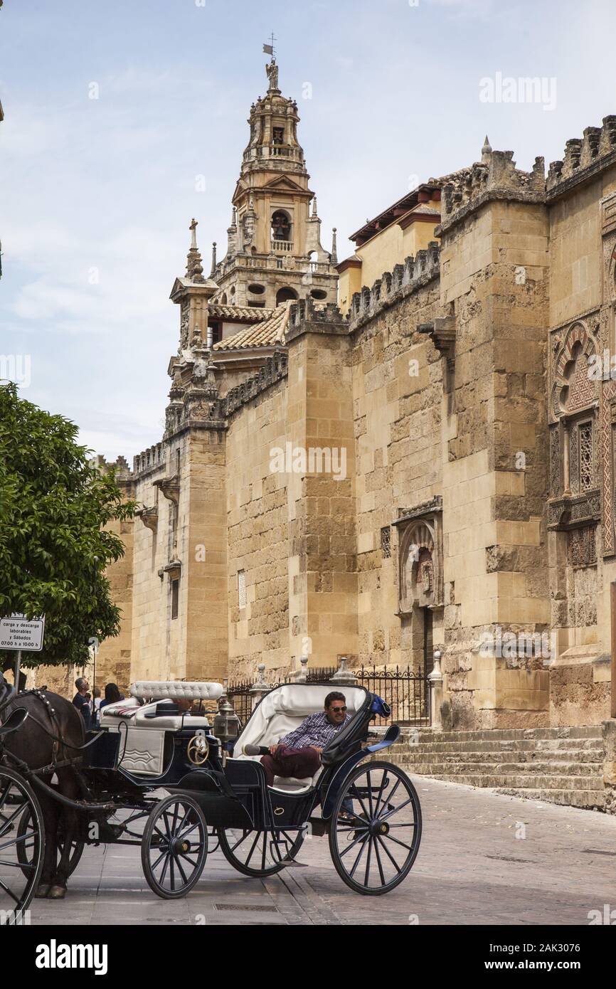 Provinz Cordoba:Cordoba Stadt, Mezquita-Catedral von Cordoba, einstige Moschee und heutige Kathedrale im historischen Zentrum der Stadt (Calle Carden Stockfoto