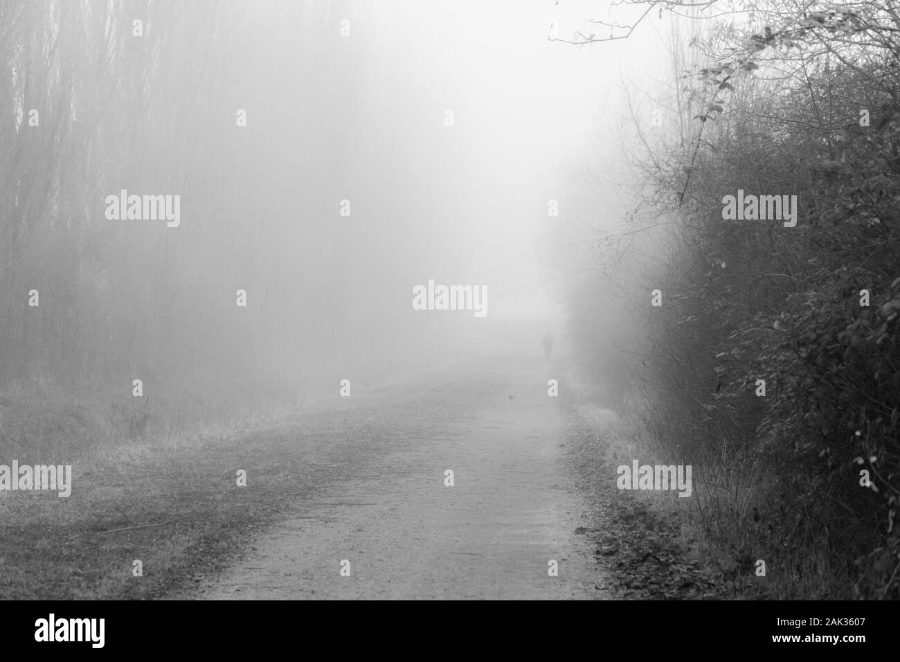 Auf der Suche nach einem blauen See im Nebel durch Reed Stockfoto