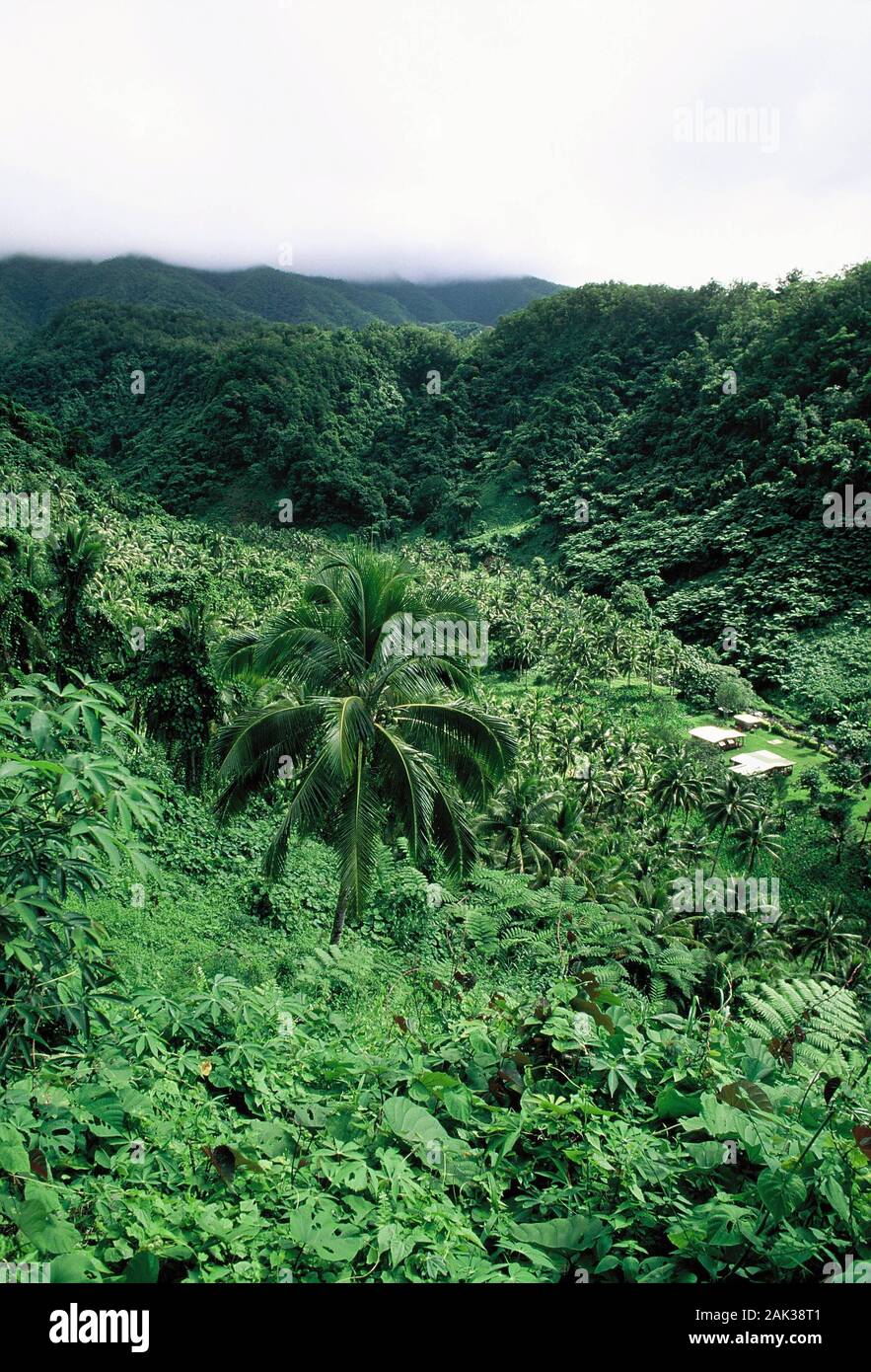 Dichter Regenwald erstreckt sich auf die Hügel des Bouma National Park auf der Insel wenn Taveuni. Taveuni ist die drittgrößte Insel der Fidschi Inseln. Die Stockfoto