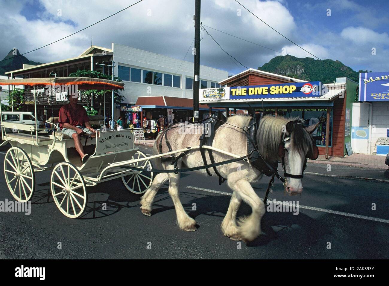 Ein schweres Pferd zieht eine Beförderung durch Avarua auf Rarotonga. Ist die Hauptstadt Avarua Rarotonga die Hauptinsel der Cook Inseln im Südlichen Pa Stockfoto