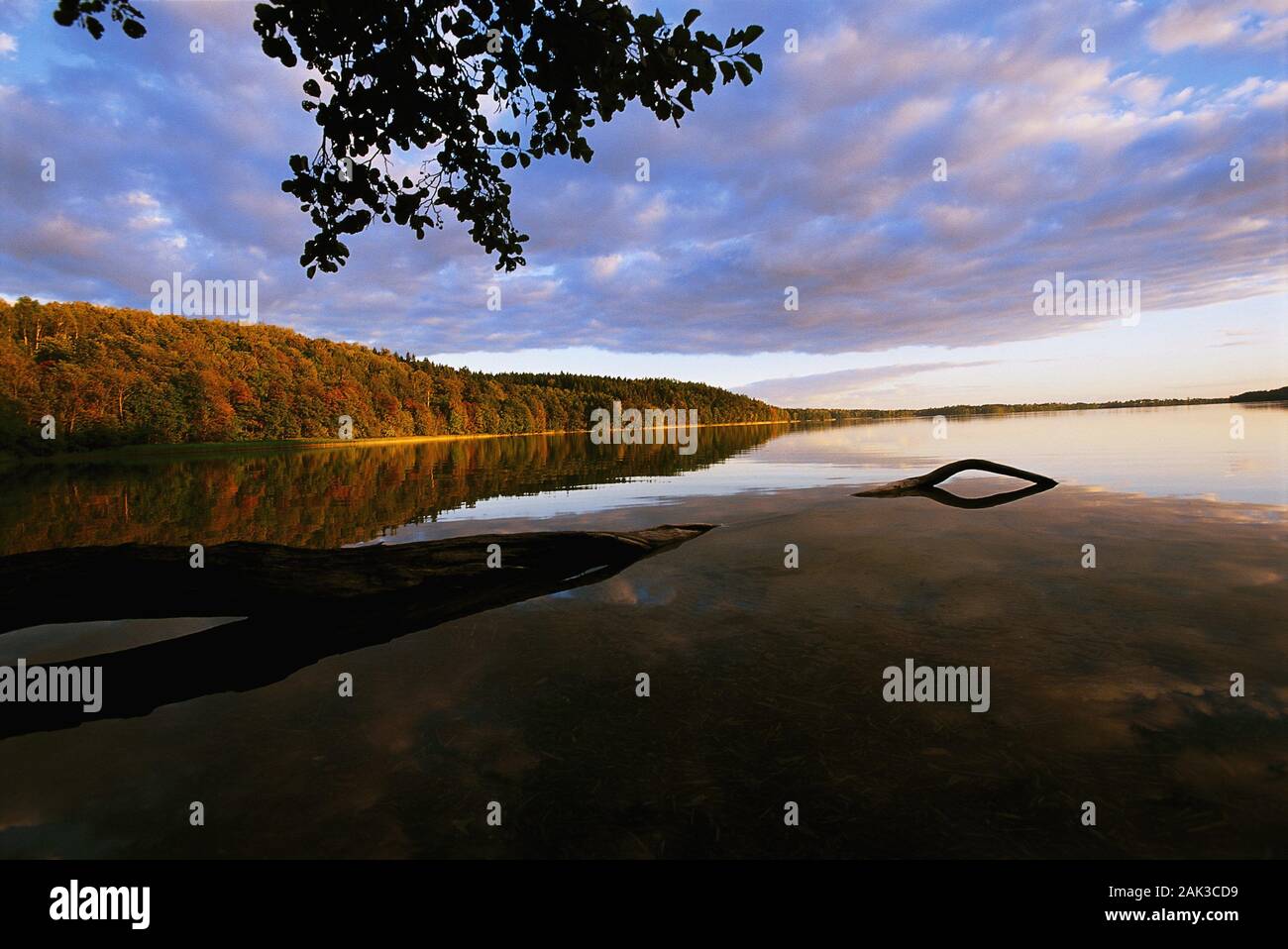 Der See Jezioro Hancza liegt ganz im Osten von Polen eröffnet wurde. (Undatiertes Foto) | Verwendung weltweit Stockfoto